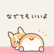 ヒメ日記 2025/12/29 13:30 投稿 きこ 奥様さくら日本橋店