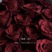 ヒメ日記 2026/01/03 15:17 投稿 きこ 奥様さくら日本橋店