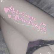 ヒメ日記 2026/01/08 08:45 投稿 きこ 奥様さくら日本橋店