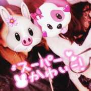 ヒメ日記 2026/01/09 09:20 投稿 きこ 奥様さくら日本橋店