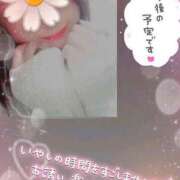 ヒメ日記 2026/01/13 00:35 投稿 きこ 奥様さくら日本橋店