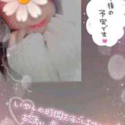 ヒメ日記 2026/01/13 08:20 投稿 きこ 奥様さくら日本橋店