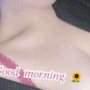 ヒメ日記 2026/01/15 11:06 投稿 きこ 奥様さくら日本橋店