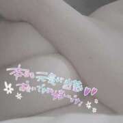 ヒメ日記 2026/01/23 07:15 投稿 きこ 奥様さくら日本橋店