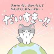 ヒメ日記 2026/01/29 10:16 投稿 きこ 奥様さくら日本橋店