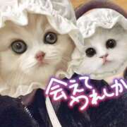 ヒメ日記 2026/02/01 16:36 投稿 きこ 奥様さくら日本橋店