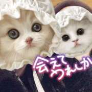 ヒメ日記 2026/02/01 16:45 投稿 きこ 奥様さくら日本橋店