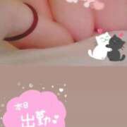 ヒメ日記 2026/02/07 11:55 投稿 きこ 奥様さくら日本橋店