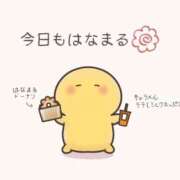 ヒメ日記 2026/02/19 19:15 投稿 きこ 奥様さくら日本橋店