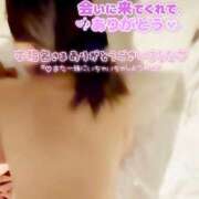 ヒメ日記 2026/02/26 12:30 投稿 きこ 奥様さくら日本橋店