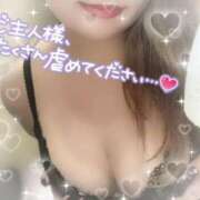 ヒメ日記 2026/03/02 19:16 投稿 きこ 奥様さくら日本橋店