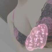 ヒメ日記 2026/03/07 11:46 投稿 きこ 奥様さくら日本橋店