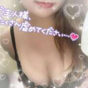 ヒメ日記 2026/03/08 12:56 投稿 きこ 奥様さくら日本橋店