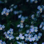 ヒメ日記 2026/03/09 14:37 投稿 きこ 奥様さくら日本橋店