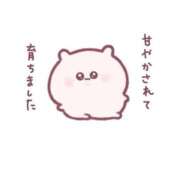 ヒメ日記 2026/03/11 09:49 投稿 きこ 奥様さくら日本橋店