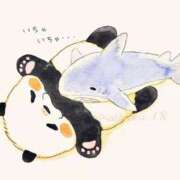 ヒメ日記 2026/03/13 17:31 投稿 きこ 奥様さくら日本橋店