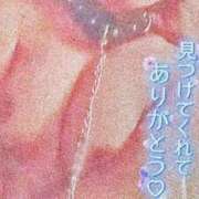 ヒメ日記 2025/08/16 23:36 投稿 きこ club さくら日本橋店