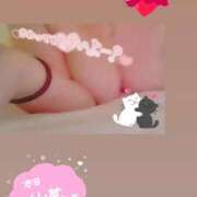 ヒメ日記 2025/09/19 13:28 投稿 きこ club さくら日本橋店