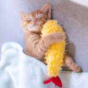 ヒメ日記 2025/09/20 13:09 投稿 きこ club さくら日本橋店