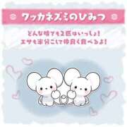 ヒメ日記 2025/09/23 07:46 投稿 きこ club さくら日本橋店