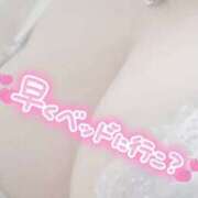 ヒメ日記 2025/09/25 22:06 投稿 きこ club さくら日本橋店