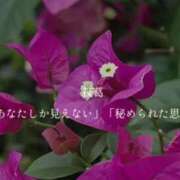 ヒメ日記 2025/10/07 08:46 投稿 きこ club さくら日本橋店