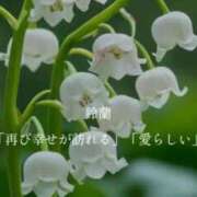 ヒメ日記 2025/10/08 20:36 投稿 きこ club さくら日本橋店