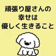 ヒメ日記 2025/10/11 14:06 投稿 きこ club さくら日本橋店