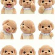 ヒメ日記 2025/10/12 12:07 投稿 きこ club さくら日本橋店