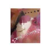 ヒメ日記 2025/10/13 12:36 投稿 きこ club さくら日本橋店