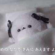 ヒメ日記 2025/10/19 11:48 投稿 きこ club さくら日本橋店