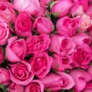 ヒメ日記 2025/10/25 16:16 投稿 きこ club さくら日本橋店