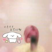 ヒメ日記 2025/10/31 19:16 投稿 きこ club さくら日本橋店