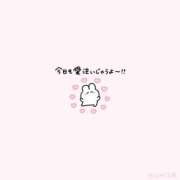 ヒメ日記 2025/11/09 11:26 投稿 きこ club さくら日本橋店