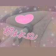 ヒメ日記 2025/11/20 07:16 投稿 きこ club さくら日本橋店