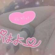 ヒメ日記 2025/11/22 07:49 投稿 きこ club さくら日本橋店