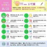 ヒメ日記 2025/11/22 15:06 投稿 きこ club さくら日本橋店