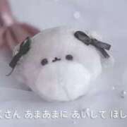 ヒメ日記 2025/12/22 00:16 投稿 きこ club さくら日本橋店