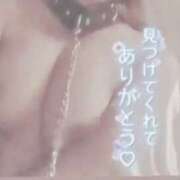 ヒメ日記 2025/12/24 07:46 投稿 きこ club さくら日本橋店