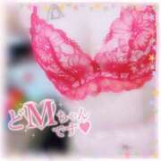 ヒメ日記 2026/01/16 18:36 投稿 きこ club さくら日本橋店