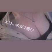 ヒメ日記 2026/01/17 13:31 投稿 きこ club さくら日本橋店