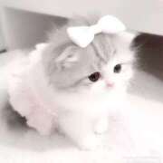 ヒメ日記 2026/01/19 10:56 投稿 きこ club さくら日本橋店