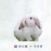 きこ きこ（clubさくら日本橋店） club さくら日本橋店