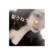 ヒメ日記 2026/01/25 14:36 投稿 きこ club さくら日本橋店