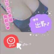 ヒメ日記 2026/01/27 08:46 投稿 きこ club さくら日本橋店