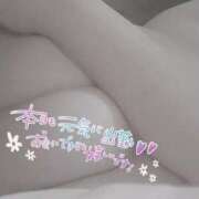 ヒメ日記 2026/02/04 13:46 投稿 きこ club さくら日本橋店