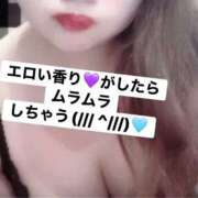 ヒメ日記 2026/02/11 19:16 投稿 きこ club さくら日本橋店