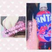 ヒメ日記 2026/02/15 20:06 投稿 きこ club さくら日本橋店