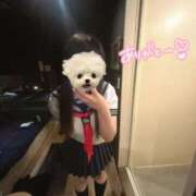 ヒメ日記 2025/08/02 20:46 投稿 ななこ 責められ好きの大学生！ ウエスト・コム