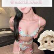 ヒメ日記 2025/11/20 11:45 投稿 一ノ瀬 あむ ライオンズクラブ